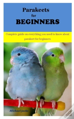 Capa do artigo Parakeets For Beginners