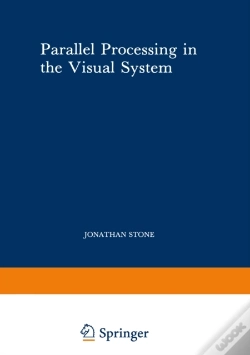 Capa do artigo Parallel Processing In The Visual System