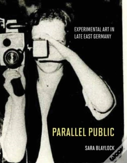 Capa do artigo Parallel Public