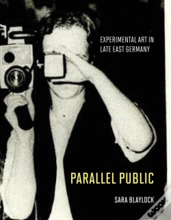 Capa do artigo Parallel Public