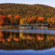 Capa do artigo Parallel Universe - CD