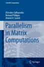 Parallelism In Matrix Computations - Preview