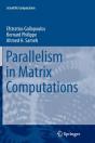 Parallelism In Matrix Computations - Preview