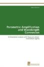 Parametric Amplification And Wavelength Conversion - Preview