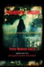 Paranormal Niagara - Preview