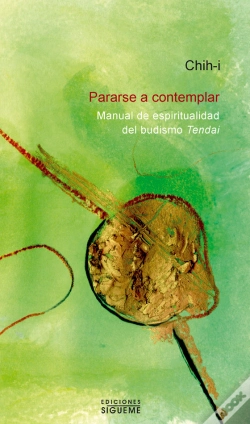 Capa do artigo Pararse A Contemplar