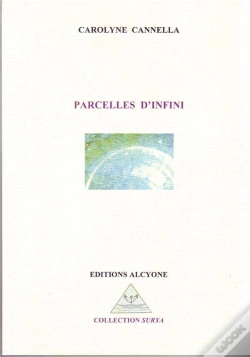 Capa do artigo Parcelles D'Infini