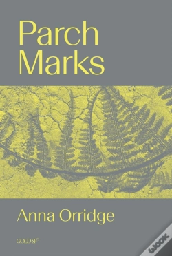 Capa do artigo Parch Marks