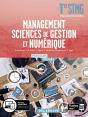 Parcours Croisés : Management, Sciences De Gestion Et Numérique ; Terminale Stmg ; Manuel De L'Élève - Preview