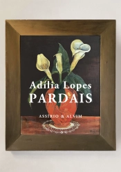Capa do artigo Pardais