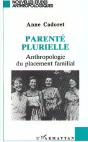 Parente Plurielle ; Anthropologie Du Placement Familial - Preview