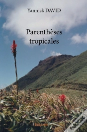 Capa do artigo Parenthèses Tropicales