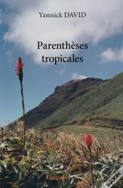 Capa do artigo Parenthèses Tropicales