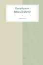 Parenthesis In Biblical Hebrew - Preview