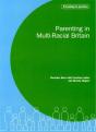 Parenting In Multi-Racial Britain - Preview