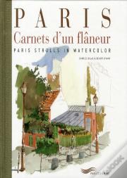 Paris ; Carnets D'Un Flâneur