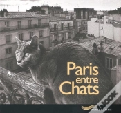 Capa do artigo Paris Entre Chats