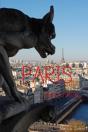 Paris - Mon Reve... - Preview