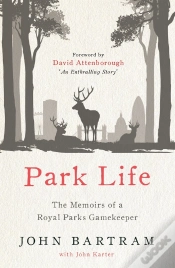 Capa do artigo Park Life