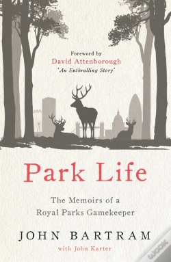 Capa do artigo Park Life