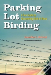 Parking Lot Birding