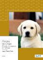 Paroles De Chien - Preview