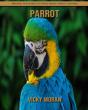 Parrot - Preview