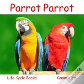 Parrot Parrot