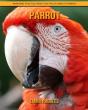 Parrot - Preview