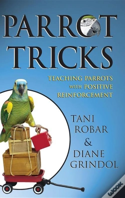 Capa do artigo Parrot Tricks