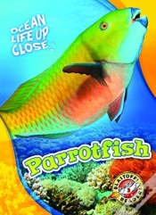 Capa do artigo Parrotfish