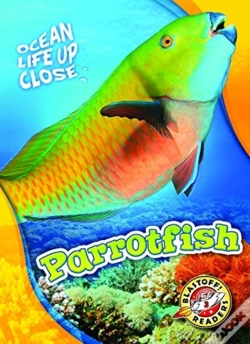 Capa do artigo Parrotfish