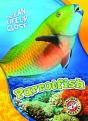 Parrotfish - Preview