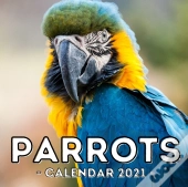 Parrots Calendar 2021