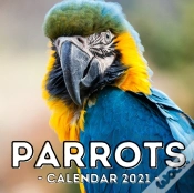 Capa do artigo Parrots Calendar 2021