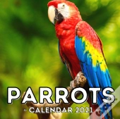 Parrots Calendar 2021