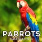 Parrots Calendar 2021 - Preview