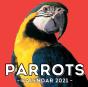 Parrots Calendar 2021 - Preview