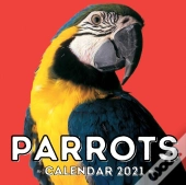 Parrots Calendar 2021