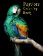 Parrots Coloring Book - Preview