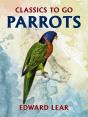 Parrots - Preview