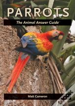 Parrots
