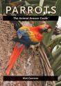 Parrots - Preview