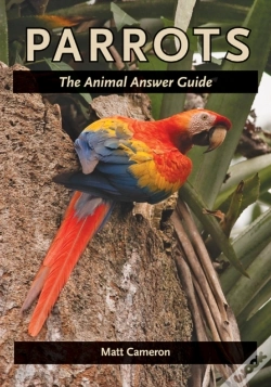 Capa do artigo Parrots