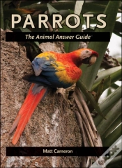 Capa do artigo Parrots