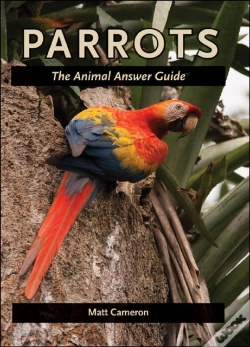 Capa do artigo Parrots