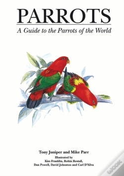 Capa do artigo Parrots