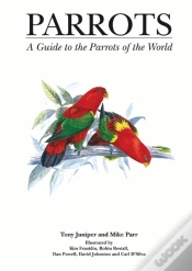 Capa do artigo Parrots
