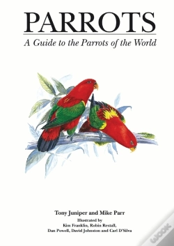 Capa do artigo Parrots