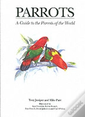 Parrots